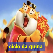 ciclo da quina